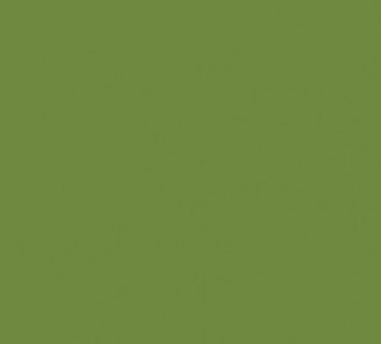 Servetten leaf green 33x33cm 2ply 16×125 stuks